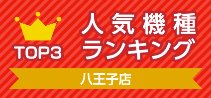 ゲームプラザセントラル八王子店の人気ゲームランキング